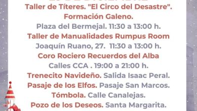 Actividades de Navidad 2024